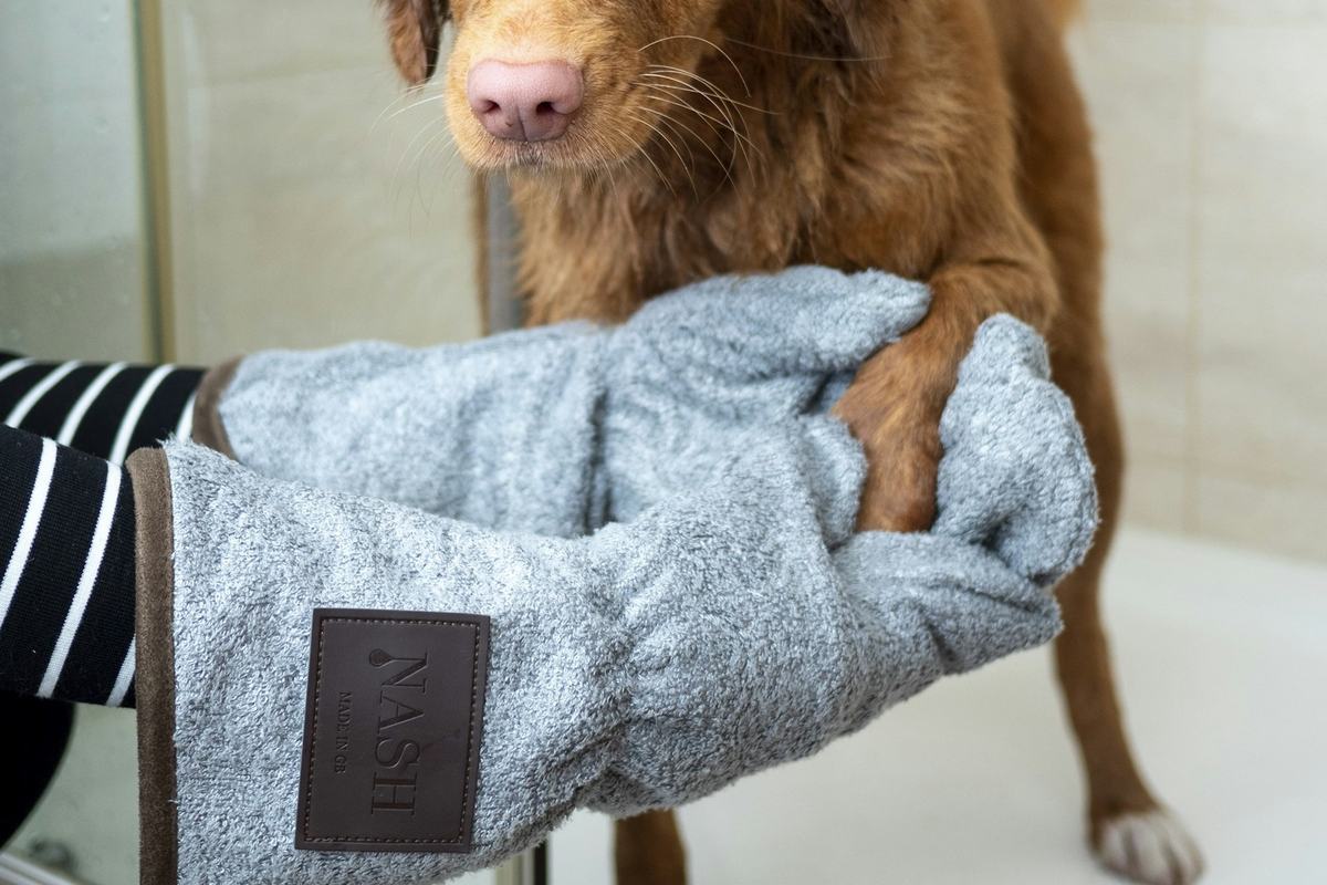 A dog having its front paw dried with towelling mitts after a wash
