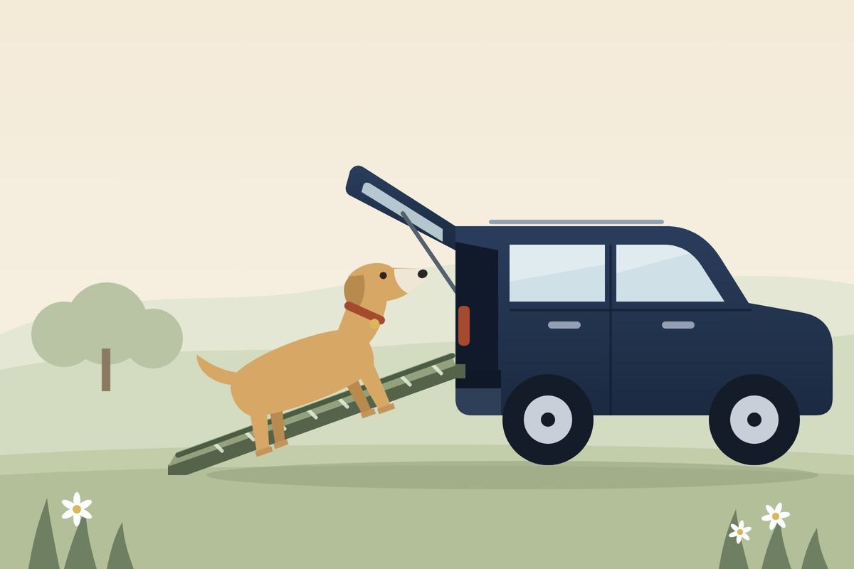 Illustration of an older dog walking up a non-slip ramp into the boot of an estate car